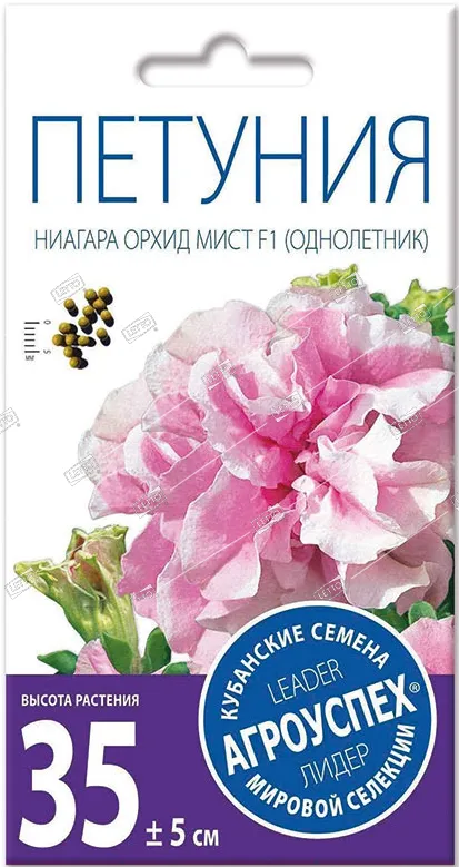 л ниагара орхид