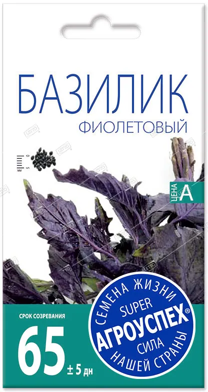 Л базилик Фиолетовый