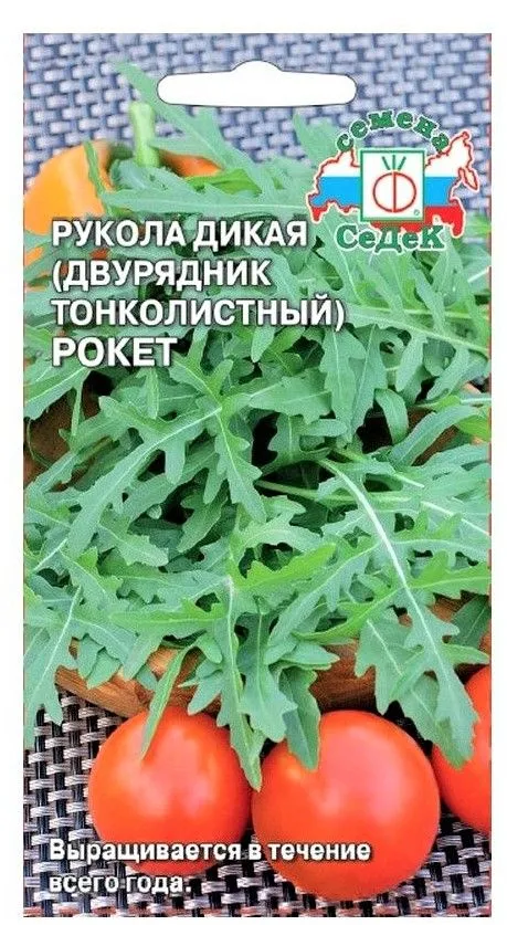 Седек рукола Дикая Рокет