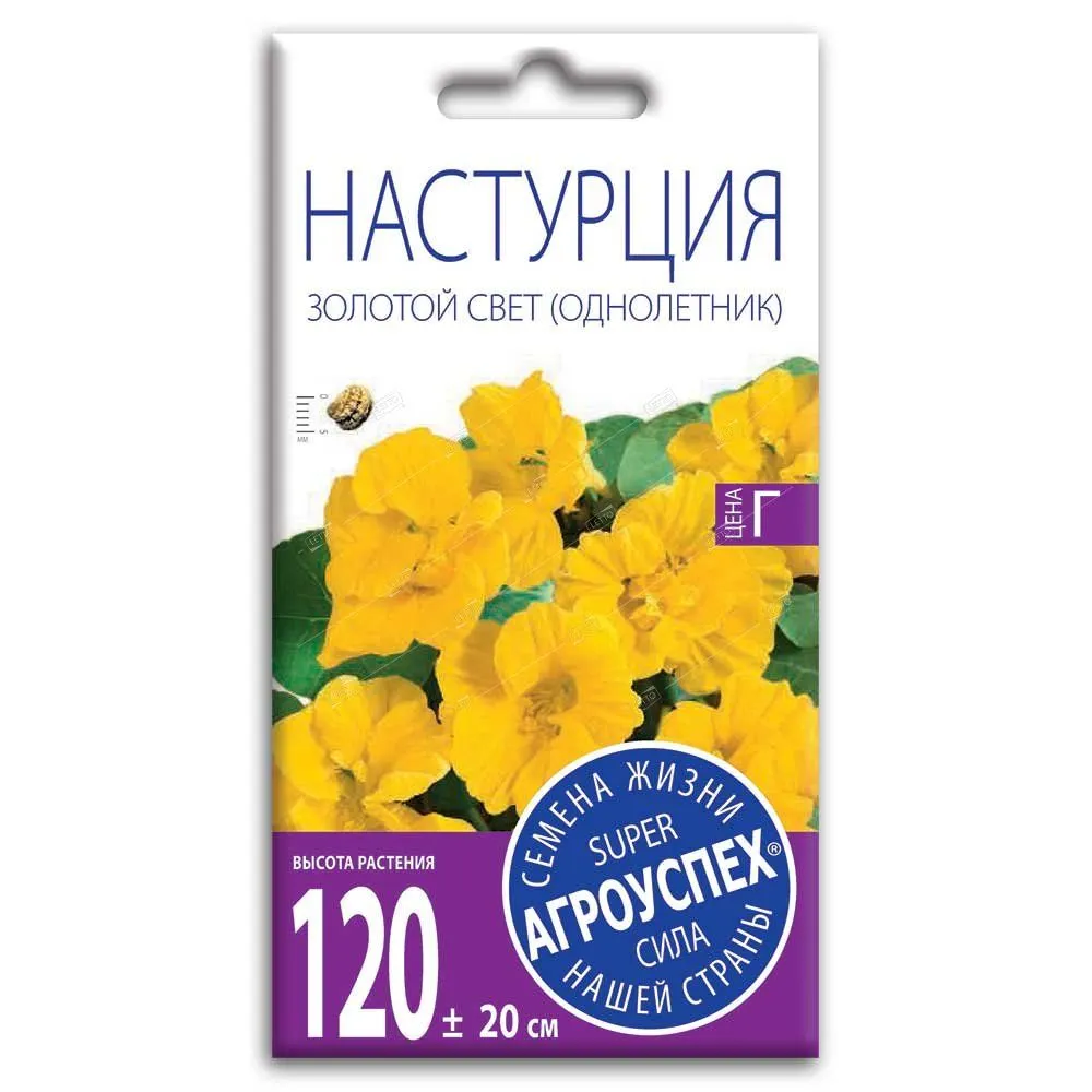 Настур