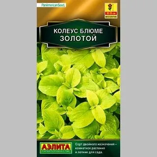 Ац/колеус Блюме золотой *5шт