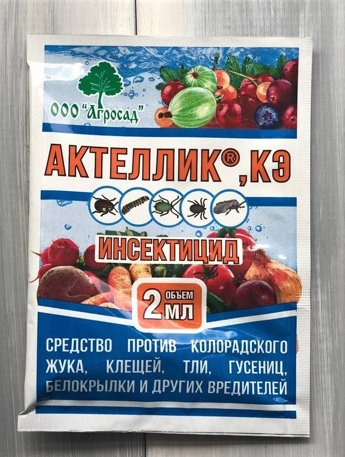 у актеллик