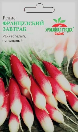 УГ редис Французский завтрак (Евро, 3)