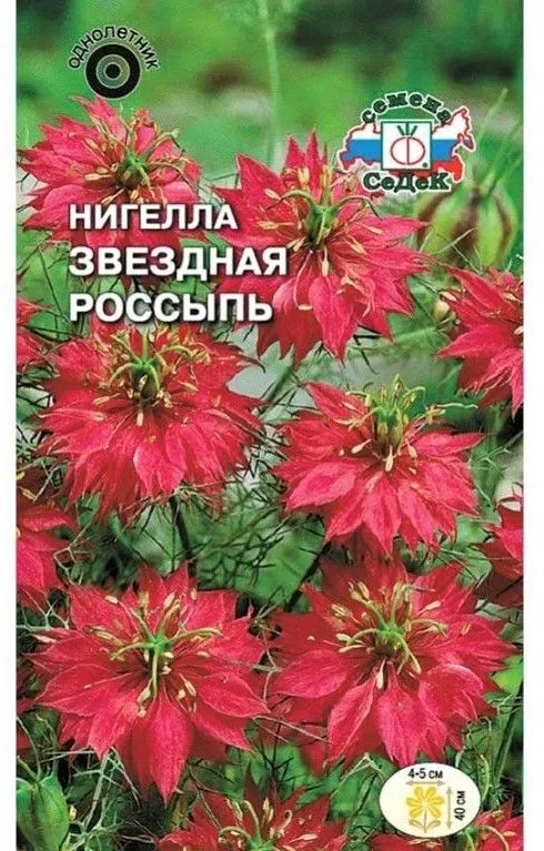 Седек Нигелла Звездная россыпь (дамасская) (Евро, 1)