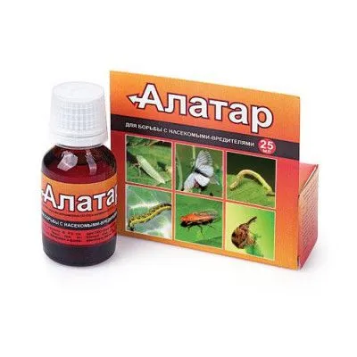 е алатар 25