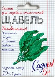 Без названия (1)