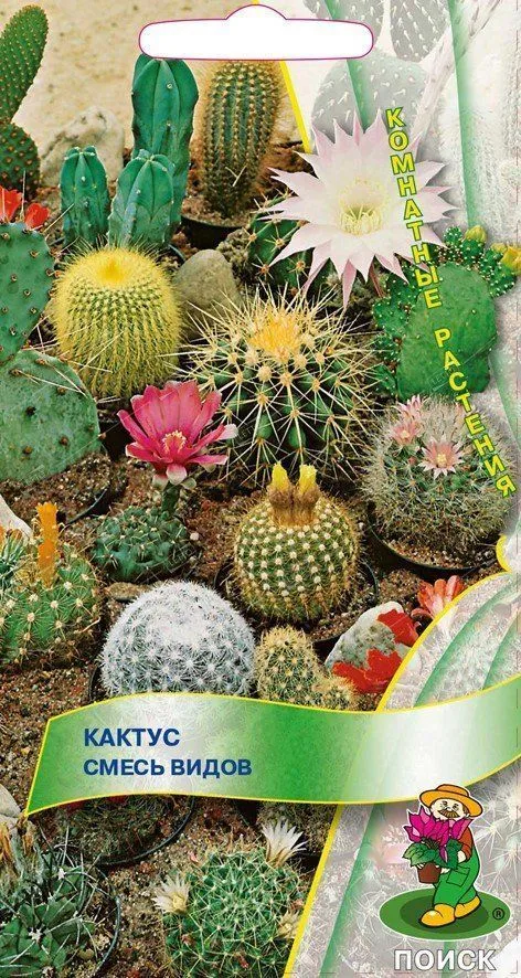Кактус смесь