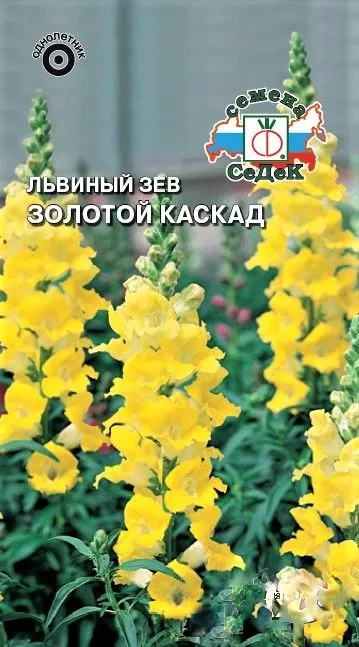 Седек Львиный зев Золотой Каскад (высокий, желтый)