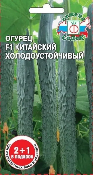 1я Седек огурец Китайский Холодоустойчивый F1 (Евро, 0,2)