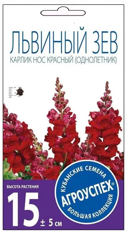 з нос красный