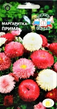 Седек Маргаритка Прима