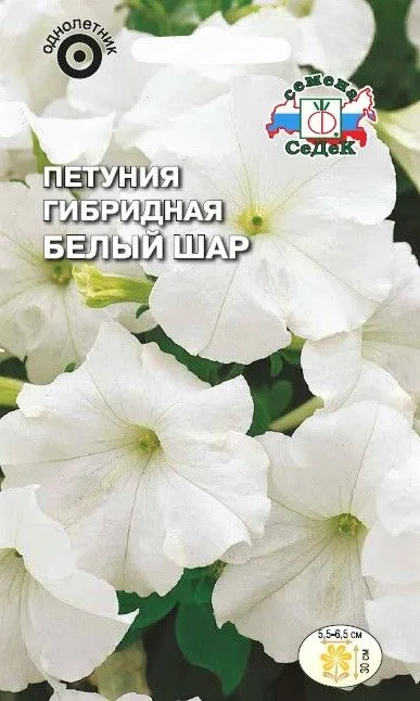 Седек Петуния Белый шар F1 (компактная, белая) (Евро, 0,1)