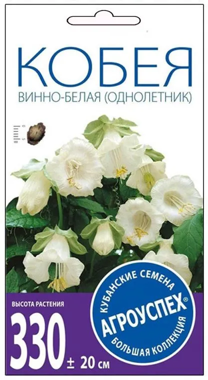 1аал кобея