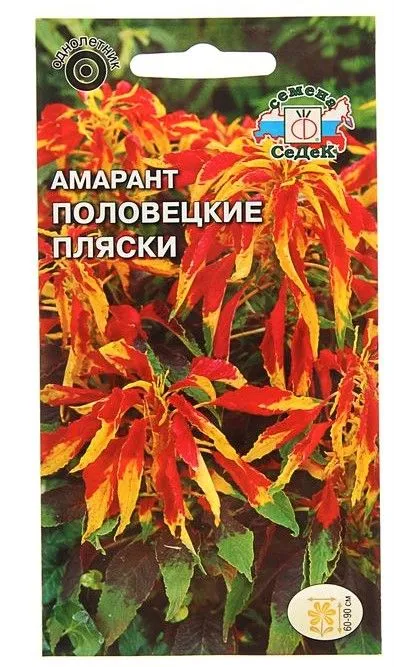 700-nw (3)