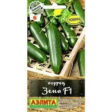 Огурец Зена Аэлита Ц