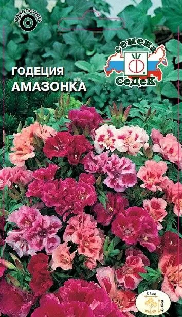 Седек Годеция Амазонка