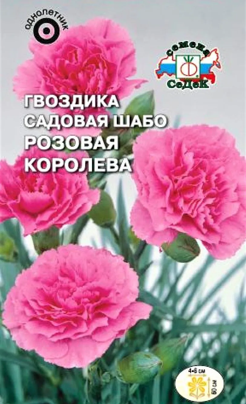 Седек Гвоздика Розовая Королева (Шабо, роз) (Евро, 0,1)