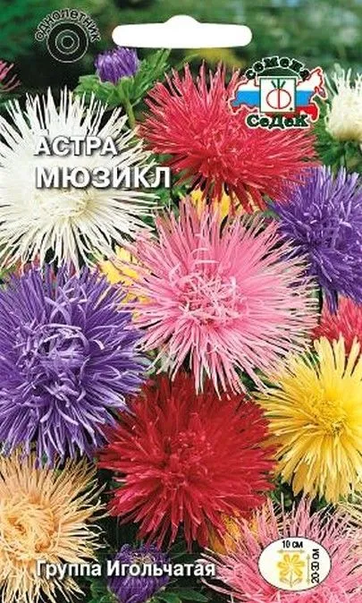 Седек Астра Мюзикл (игольчльчатая, низкорослая смесь) (Евро, 0,2)