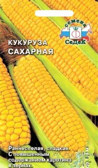 5505