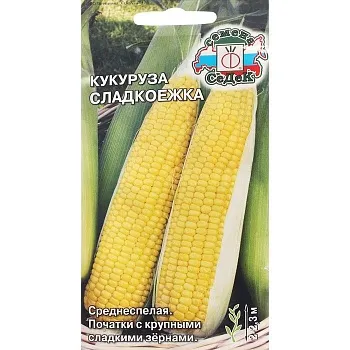 Седек кукуруза Сладкоежка (сахарная) (Евро, 4)