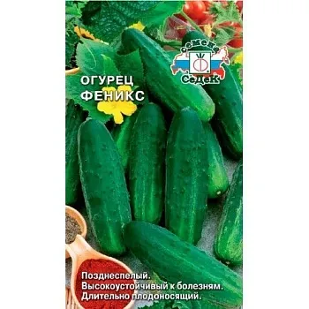 Седек огурец Феникс (Евро, 0,5)