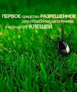 Ципер 50мл