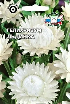 Седек Гелихризум Льдинка (белый) (Евро, 0,2)