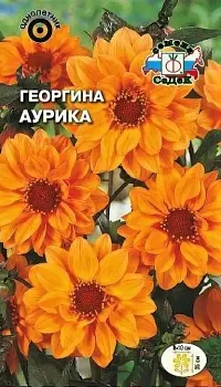 Седек Георгина Аурика (ярко-оранжевая) (Евро, 0,1)