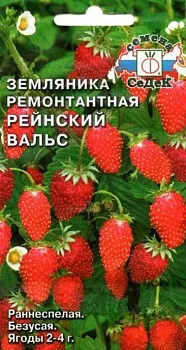 Седек земляника Рейнский Вальс ( мелкоплодная ремонтант.) (Евро, 0,04)
