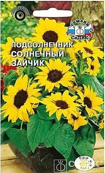 Седек Подсолнечник Солнечный зайчик (низкорослый, крупноцветковый) (Евро, 1)