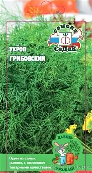 Седек укроп Грибовский (Евро, 2)