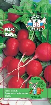 Седек редис Заря (Евро, 3)