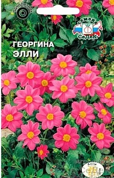 Седек Георгина Элли (розовая) (Евро, 0,2)