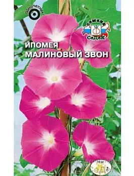 Седек Ипомея Малиновый Звон (пурпур, пурпур-лилов) (Евро, 0,5)