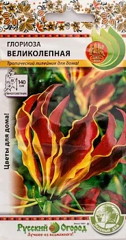 НцК/глориоза Великолепная М *6шт
