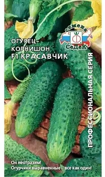 Седек огурец Красавчик F1 з/г (Евро, 0,3)