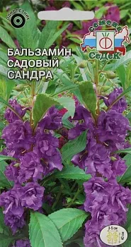 Седек Бальзамин Сандра (садовый, лиловый) (Евро, 0,2)