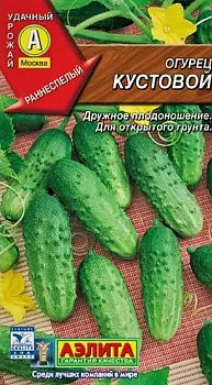 Огурец Кустовой Аэлита Ц Лидер