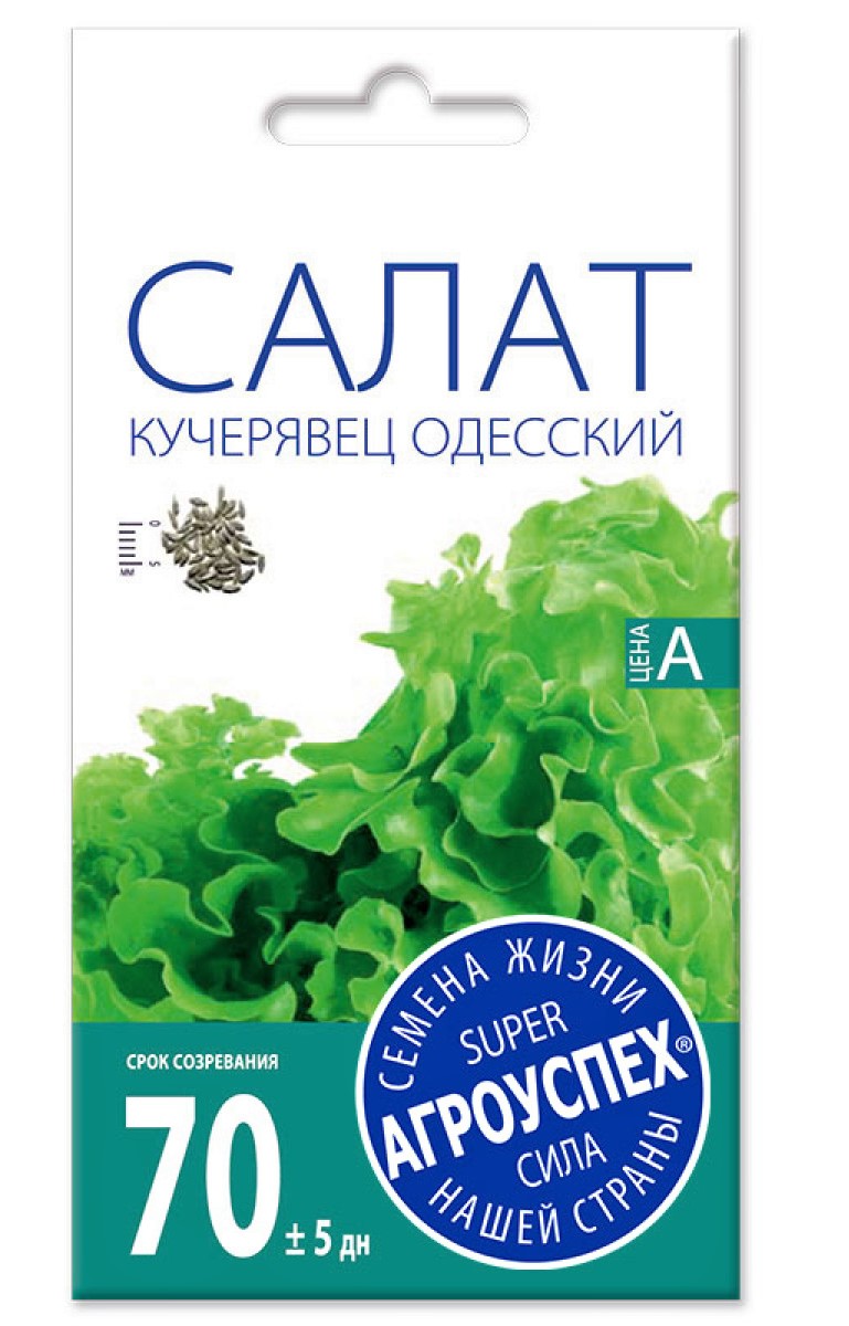 Л салат Кучерявец Одесский п коч поздний