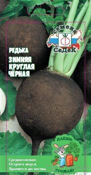 ДУ редька Зимняя Круглая Черная (Евро, 1)
