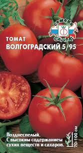 Седек томат Волгоградский 5/95 (Евро, 0,1)