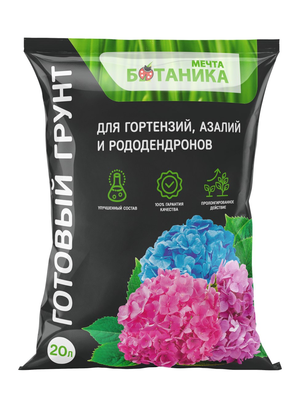 mechta-hydrangea-20l