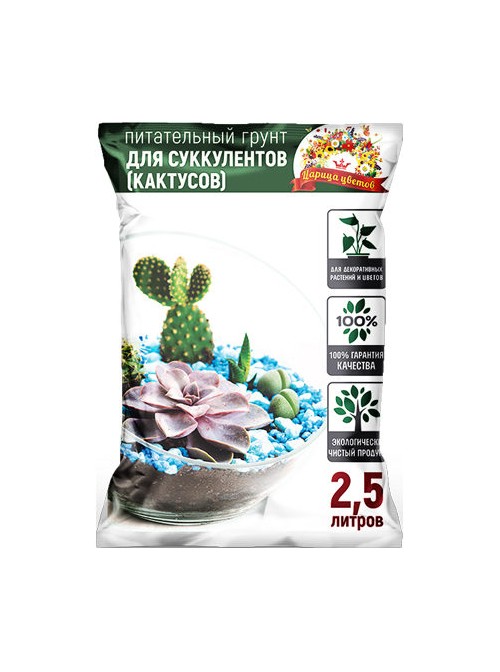 tsaritsa-succulent-25l