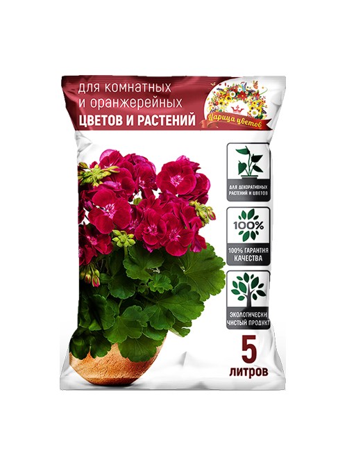 tsaritsa-indoor-5l