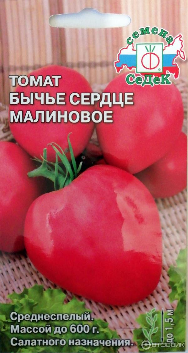 Седек томат Бычье Сердце Малиновое