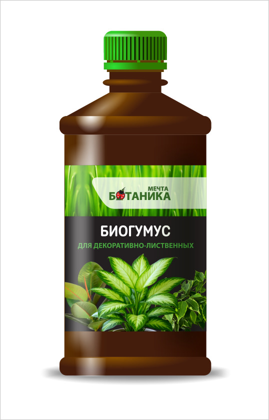 МБ_био_фикус