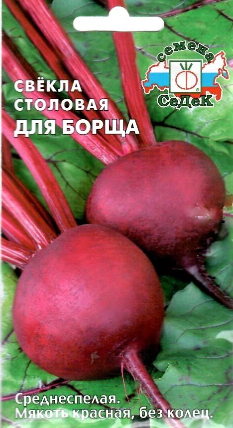 Седек свекла Для Борща
