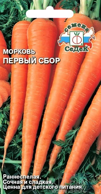 morkov_pervyy_sbor