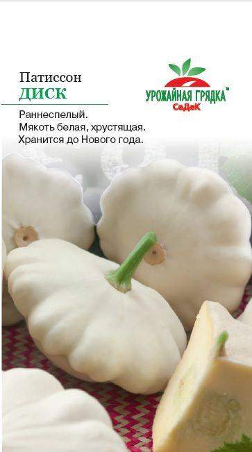УГ патиссон Диск (Евро, 1)