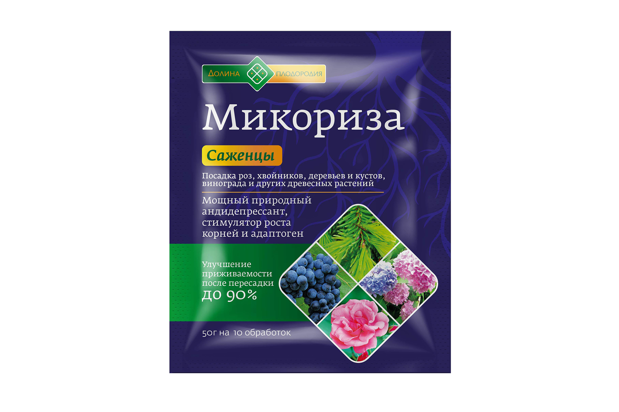 7czfhq6qirbghnm803e08frg782mrwp1